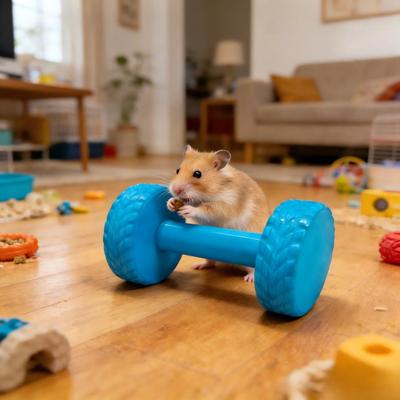 Hamster Barbell Roller Toy Boredom Stress Relief Barbell Shape Interactive Chew Toy Chinchilla Gerbils Rats Mouse Exercise Accessories