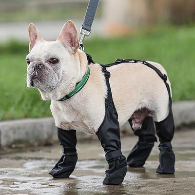 Giyim ve ayakkabı – Köpek ayakkabıları