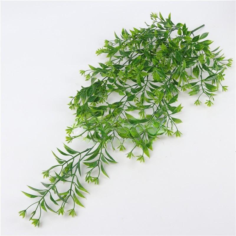 Chlorophytum Indoor Comosum Wall Hanging Plant For Living Room And Bedroom