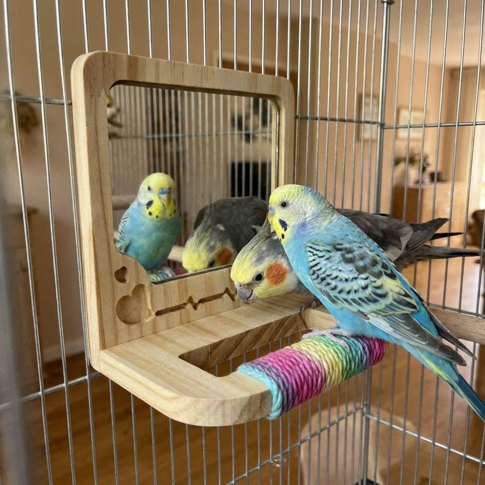 Anti-slip Wood Bird Training Stand Interactive Parrot Biting Rod Bird Cage Accessories