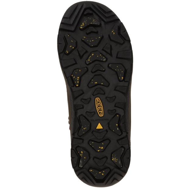 Треккинговые ботинки Keen Revel IV Mid Polar