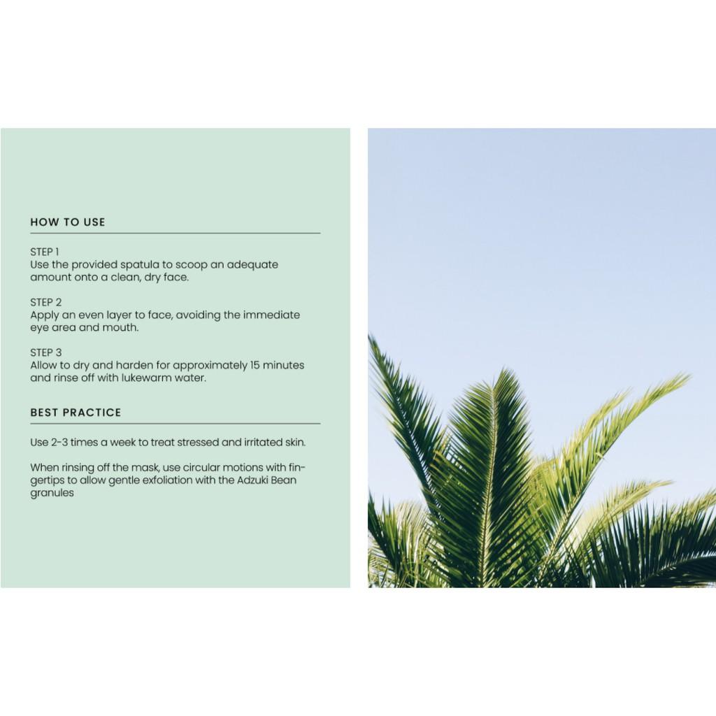 AXIS-Y Beifuß-Poren klärendes Abwaschpaket 100 ml