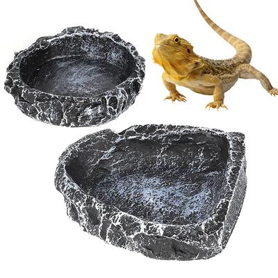 Sürüngen – Sürüngen Terraryumları