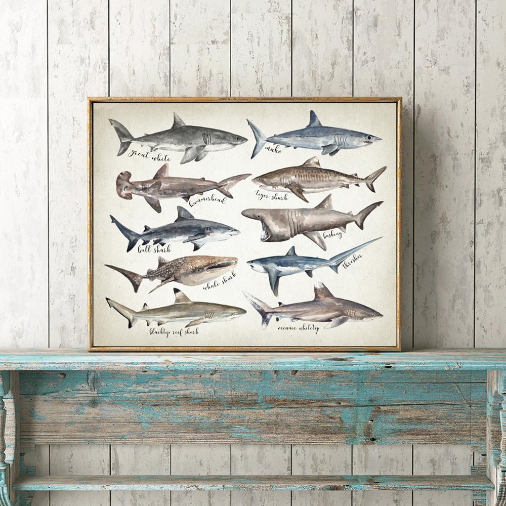 Sharks of The World Art Canvas Prints Great White Shark Poster Mako Hammerhead Tiger Bull Basking Whale Painting Bathroom Decor