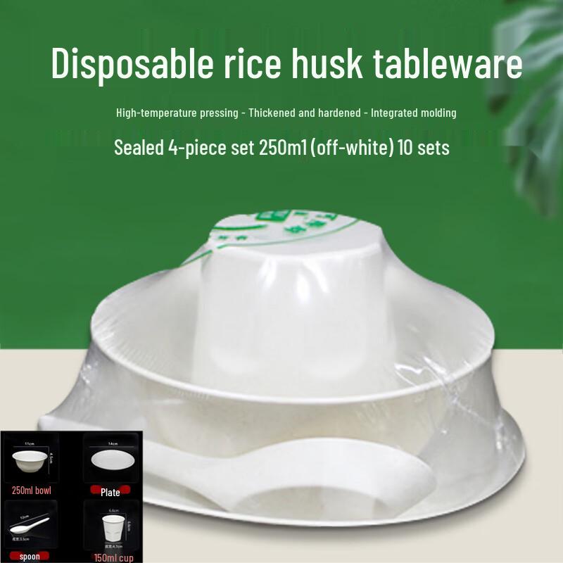 Homeglen Disposable Outdoor Tableware