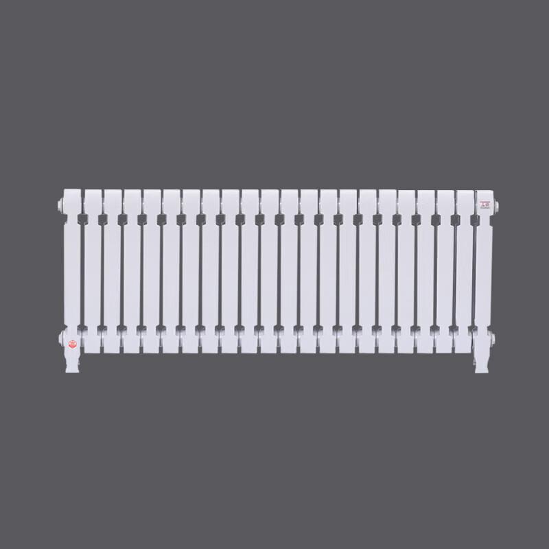 Lixing TZY2-6-8 Cast Iron Radiator