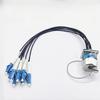 Lixian Fiber Optic Cable Assembly