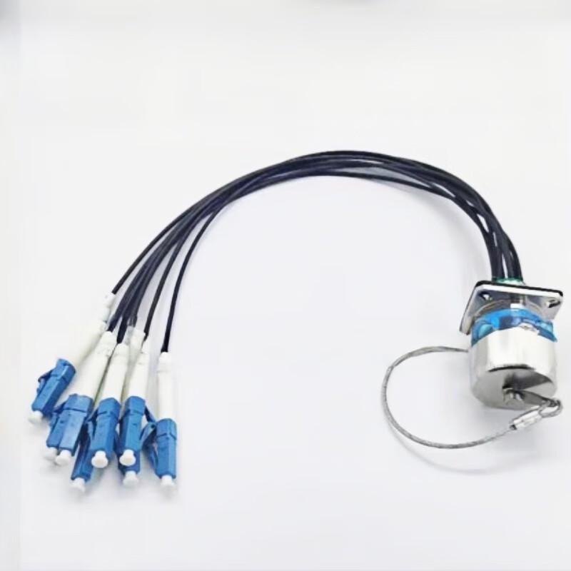 Lixian Fiber Optic Cable Assembly