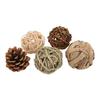 Bird Sepak Takraw Toy Safe Healthy Decompression Durable Chewing Toy Sepak Takraw for ParrotsBall Suit