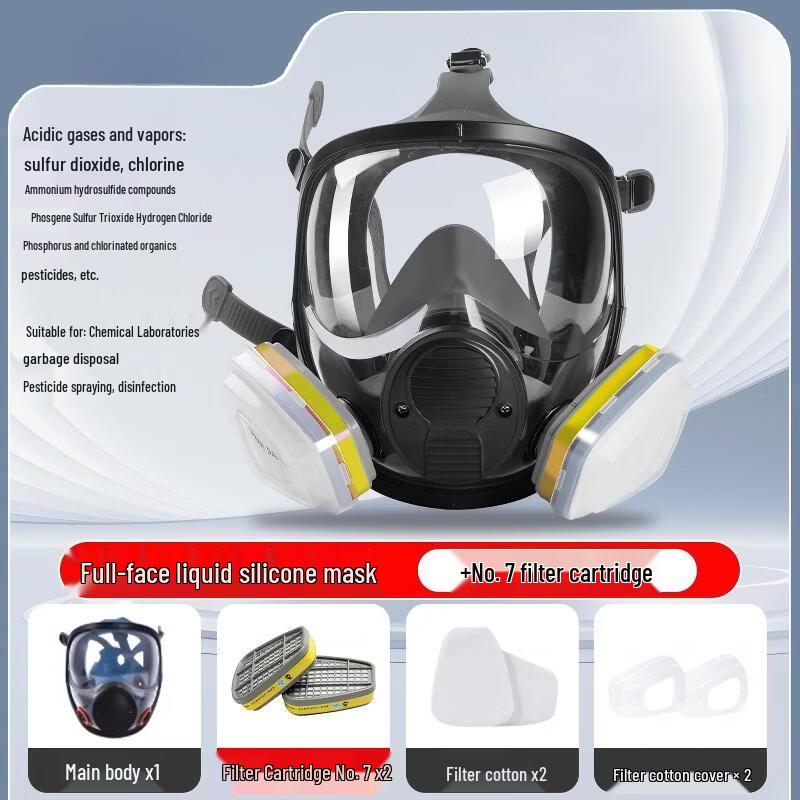 DAXTE Full-Face Gas Mask