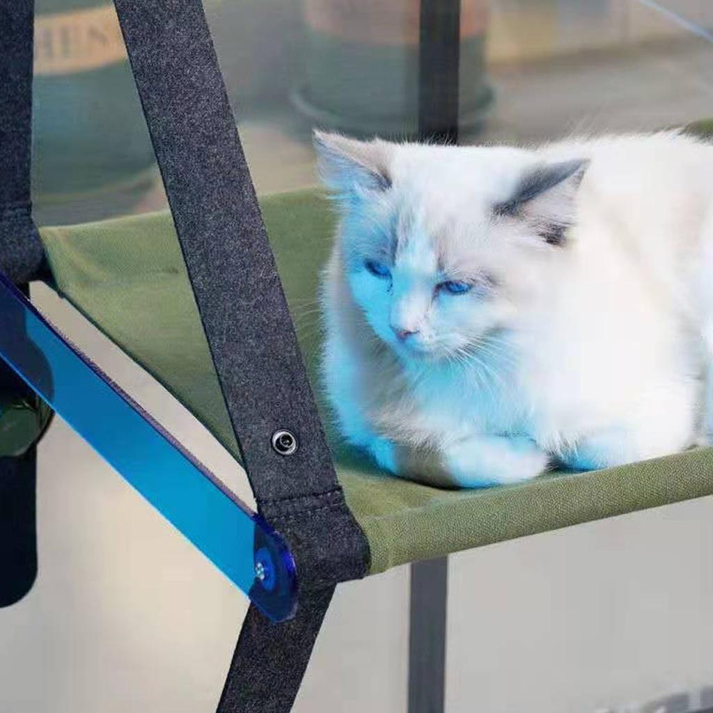 Katzenbett Fenster Abnehmbar Waschbar Katzenfensterliege Schaukel Hängematte mit Starken Saugknöpfen für Haustiere Blau