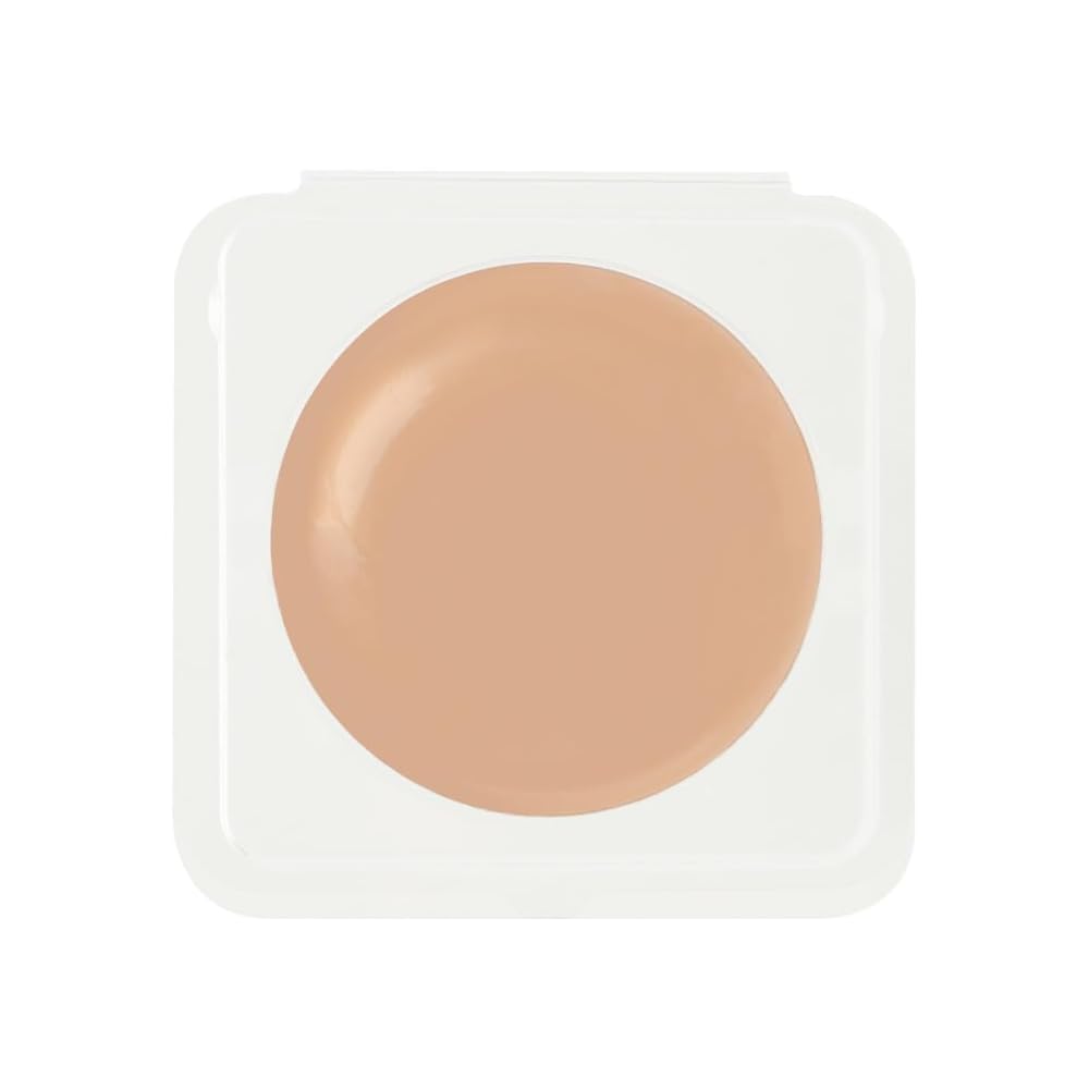 Viskin Fix Foundation SPF40/PA+++ 10g Natural Refill