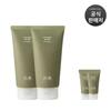 Young Mugwort Cleansing Absorbent Pack Foam 120ml X 2