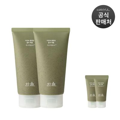 Young Mugwort Cleansing Absorbent Pack Foam 120ml X 2