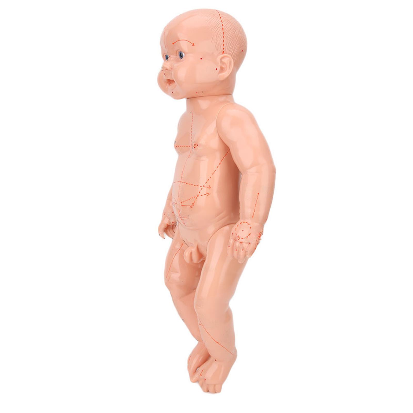 

Детская модель массажной куклы для обучения с акупунктурными точками и меридианами тела младенца