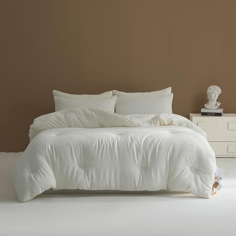 Belle Anna Antibacterial Jacquard Soy Protein Quilt