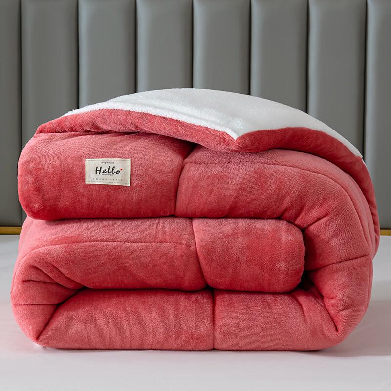 Brangdy Thickened Double-Sided Fleece Winter Duvet