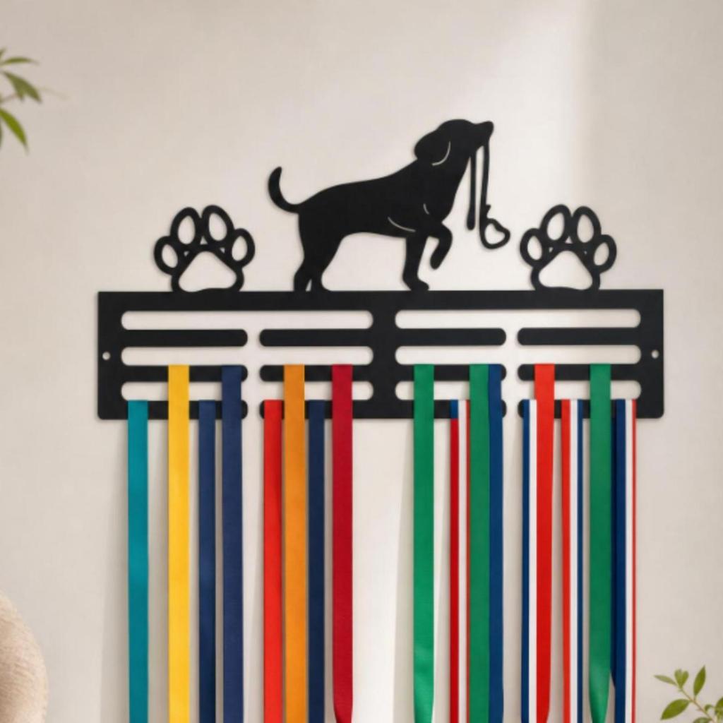 WallMounted Achievement Display Rack Slotted Medal Hanger Black Style Dzm2561