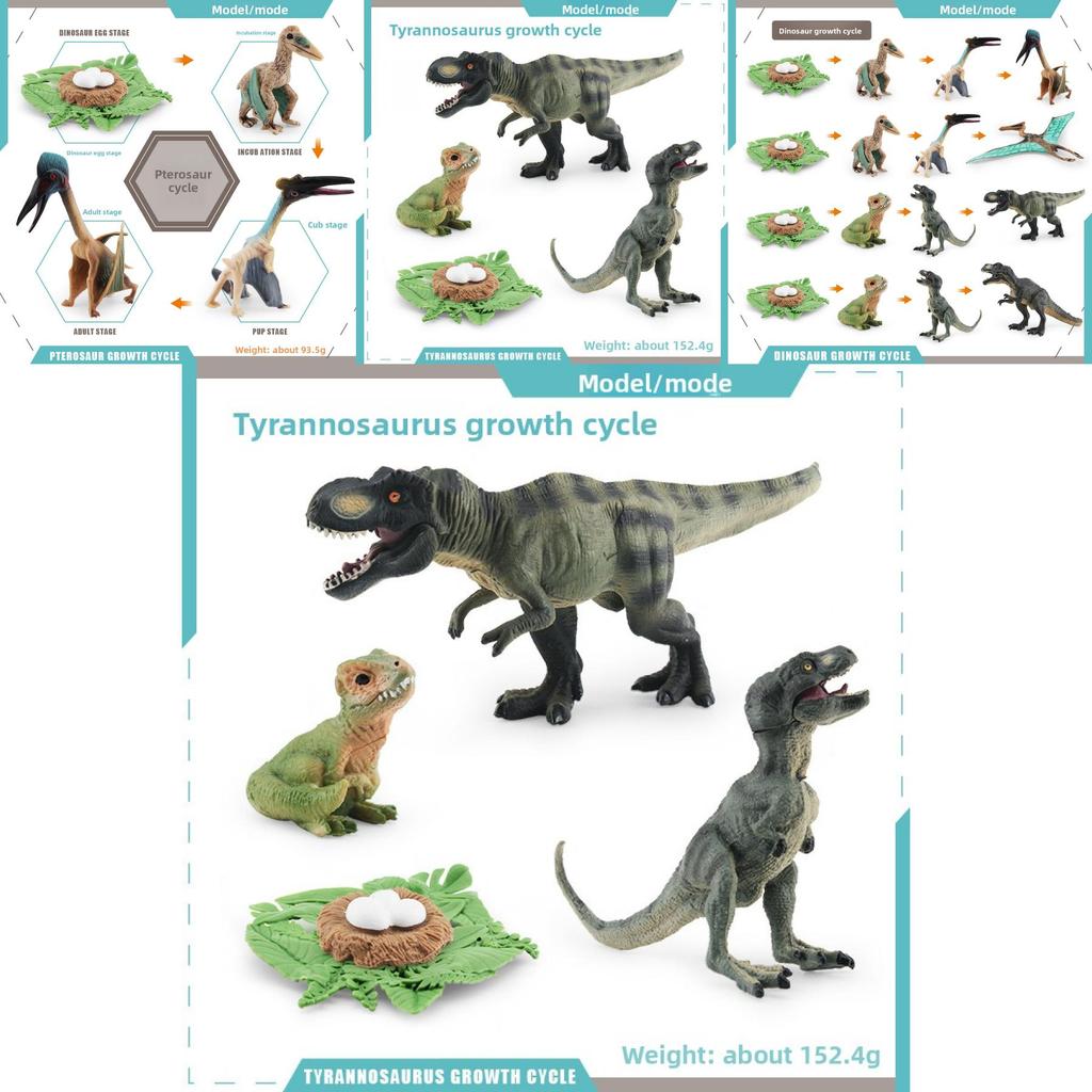 Jurassic Pterosaur T Rex Growth Cycle Model Pvc Educational Toy For Kids Science Learning