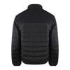Ice Iceberg Men's Plain Padded Jacket
