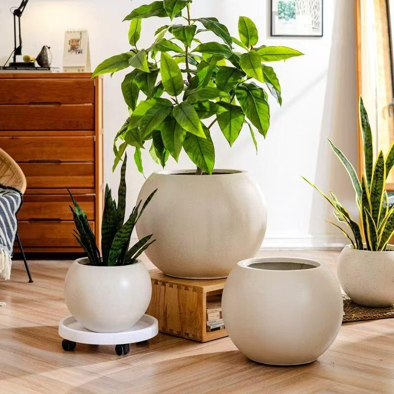 Spherical Cement Flower Pot for Ficus, Orchids, and Green Plants - Ideal for Home, Living Room, Balcony, or Outdoor Use.