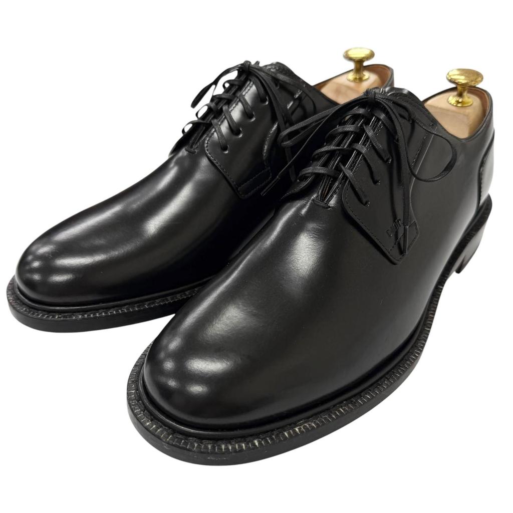Pristine DIOR Dress shoes Evidence Embossed logo plain toe derby shoes Used