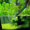 1PC Aquascaping Tweezers & Scissors Algae Scraper for Fish Tank
