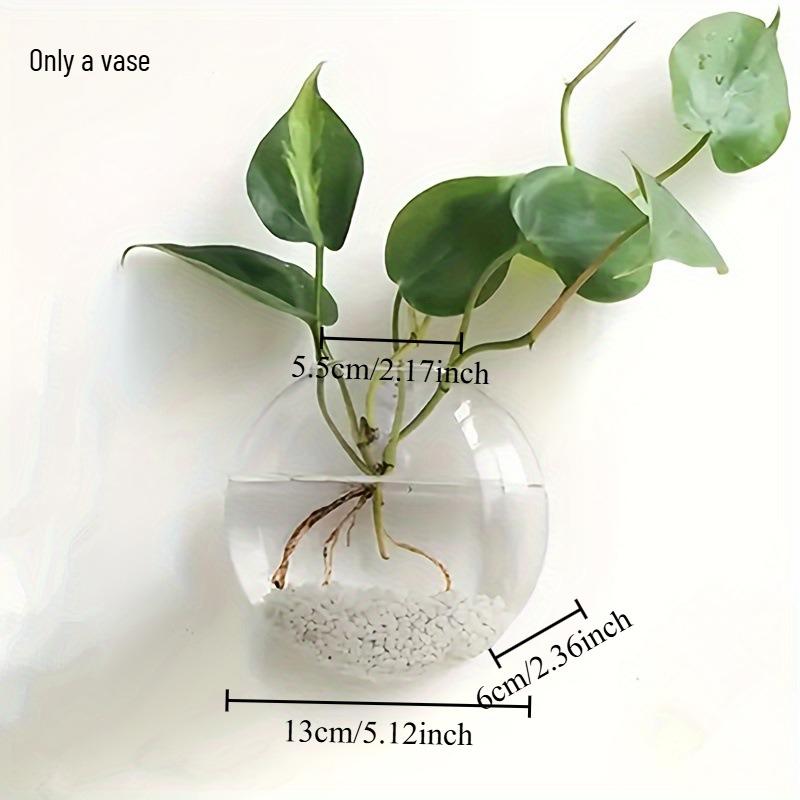 

1pcs Wall-Mounted Glass Hanging Planter Set Clear Round Hydroponic Plant Vase for Indoor Home Decor & Small Green Plants