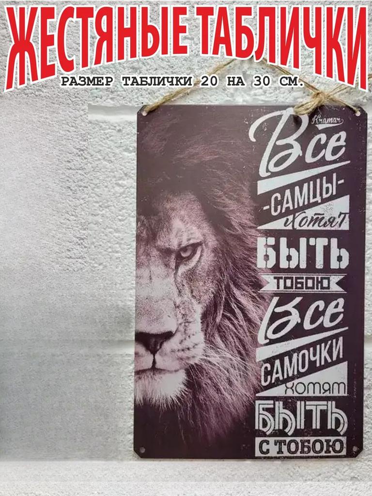 Dreams Come True Motivational Metal Poster, Wish Fulfillment Wall Art Decor