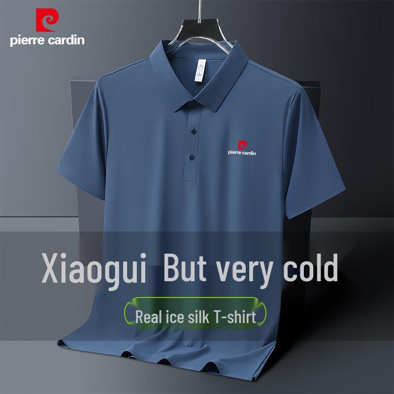 

Pierre Cardin Men s Ice Silk Short Sleeve Polo Shirt 2XL
