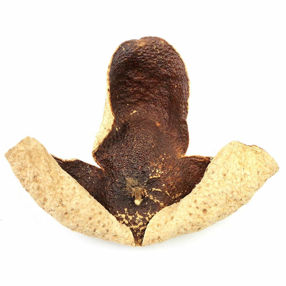 2017 XinHui „Chen Pi” Shuangshui Area Ceai de plante cu coajă roșie completă Mandarină uscată