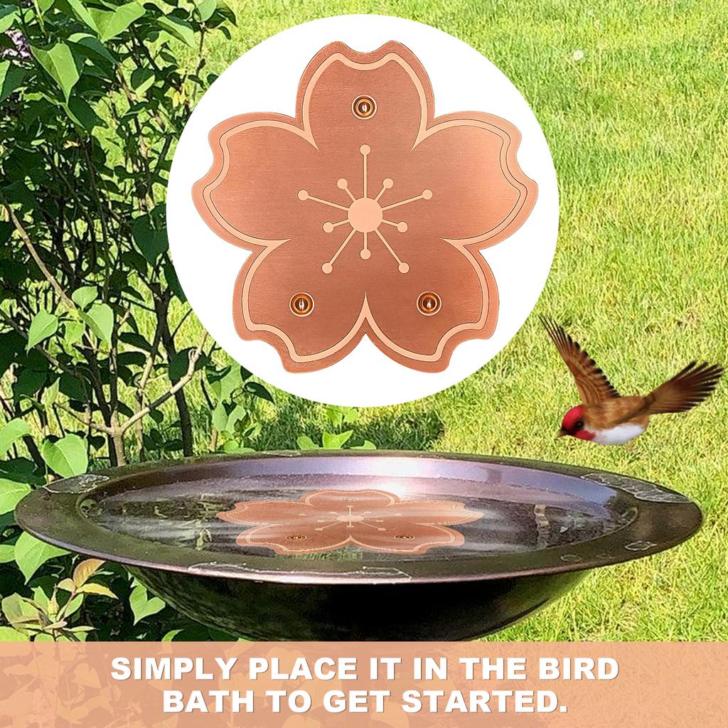 Copper Cleaning Disk 0.8mm Triple-Point Support Design Copper Bird Bath Disk Lower Cleaning Frequency for Outdoor Birdbaths