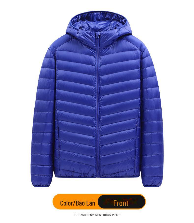Men's Lightweight Hooded Down Jacket - Short Stand-Up Collar, Casual and Warm for Winter