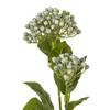 Hill Interiors Budding Hydrangea Artificial Flower Spray