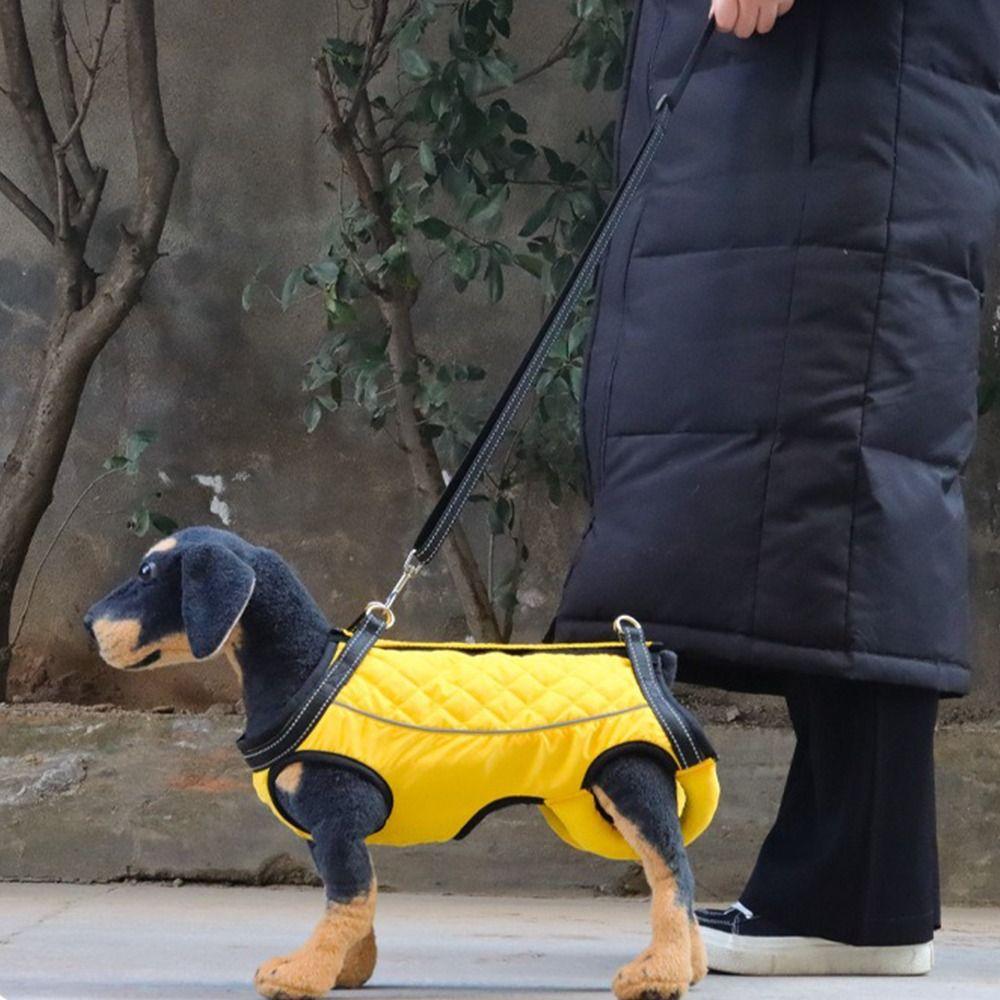 Verstellbarer Gurt Hund Hebegeschirr Verdickter Griff Haustier Gehhilfe Gurte Hund Gassi gehen