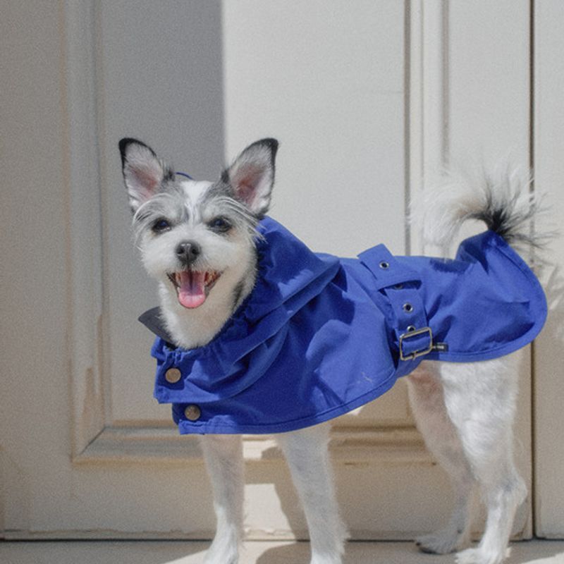 CROOKTHECHIHUAHUA Tailoring Waterproof Raincoat (2color)