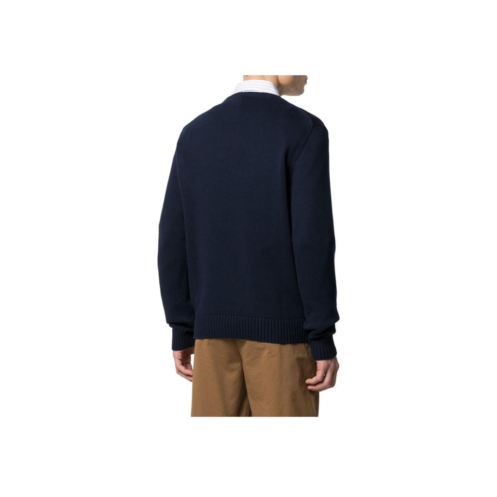 Polo Ralph Lauren Solid Logo Embroidered Crew Neck Pullover Sweater Men sweater Blue 710810846-001