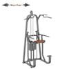 Li Zhi Yi Commercial Parallel Bars Trainer