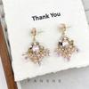 High-end Light Luxury Crystal Fringed Earrings Temperament Exquisite and Thin Earrings Niche Design Fashionable Ethnic Style Earrings