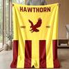 Harv Time FootballPrinted Flannel Blanket Cozy Skin-Friendly Warm Throw for Couch Bed Indoor Daily Use