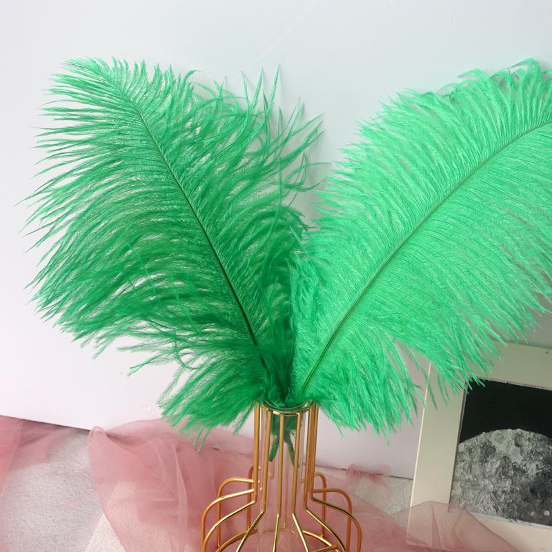 Color 20-25Cm Ostrich Hair Vase Ornament Wall Feather Decoration Hand Bouquet Flower Arrangement Diy Material