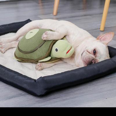 Köpek – Köpek oyuncakları