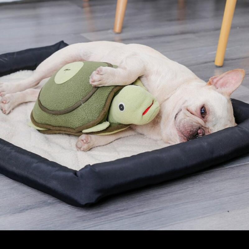 Turtle Nosework Toy Dog Toy green