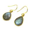 Les Trésors De Lily [P2578] - Golden Gray 'Minéralia' Silver Earrings (labradorite)