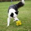 Chew Balls For Dogs Pet Tooth Chewing Pop Corn Ball Toy Bouncy Dog Chewing Toy For Small Medium And Large Dog Interactive Dog To