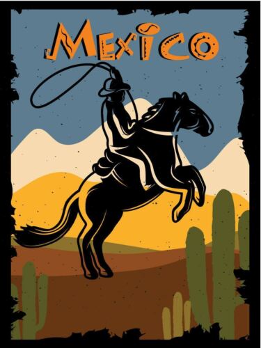 Mexico Wall Plaque Vintage Metal SignAluminum 20x30cm（7.8x11.8inch）