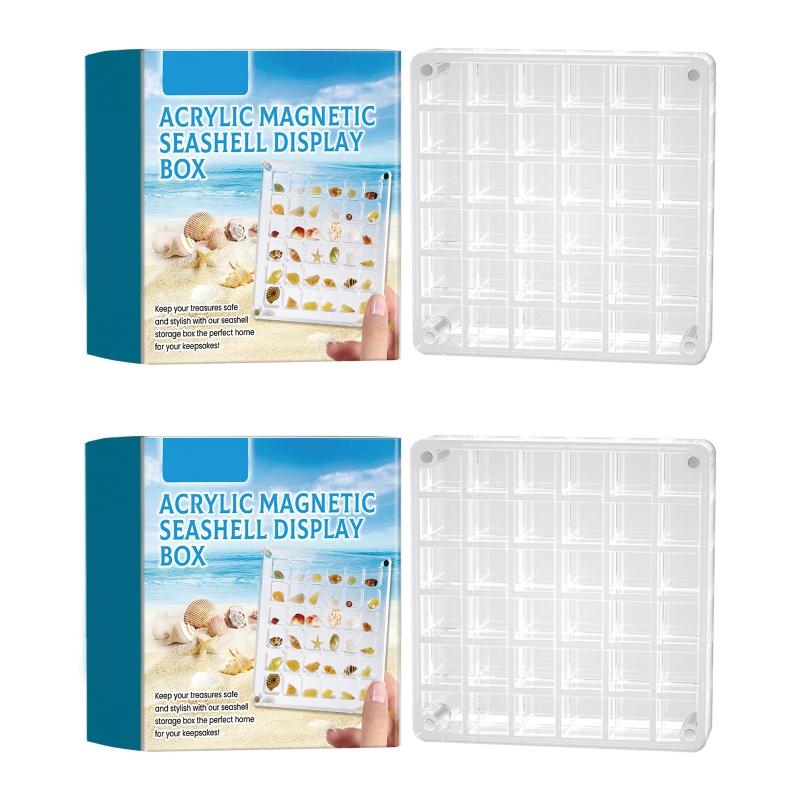 Clear Shells Display Case Seashells Storage Box for Home Decoration and Museums