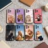 Singer S-Sabrina Carpenter Phone Case For iPhone 17 16 15 14 13 12 Max Plus Silicone Black Cover