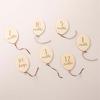 Monthly Balloons, Wooden Party Supplies, Photo Props, Toddlers, Boys,