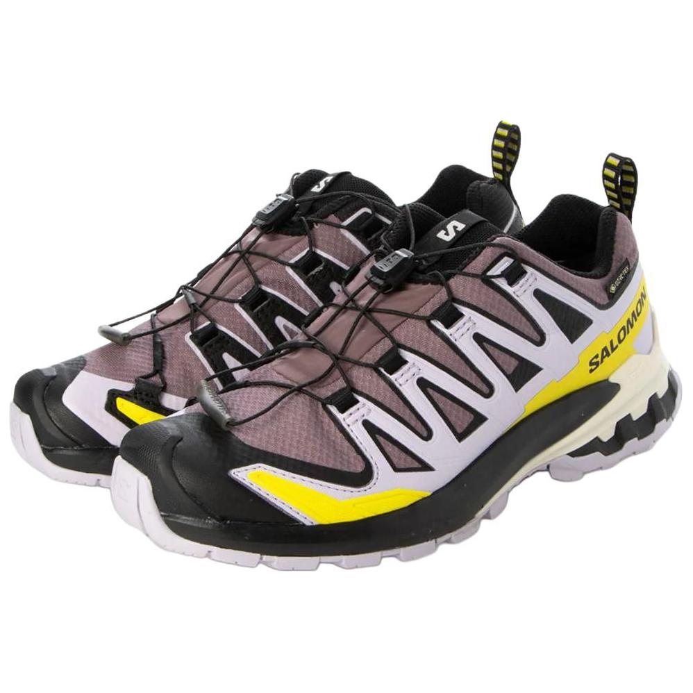 Salomon XA Pro 3D V9 GORE-TEX Moonscape Orchid Petal Sulphur Women Sneakers Grey L47469500